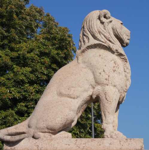 Auguste Can : Lion assis