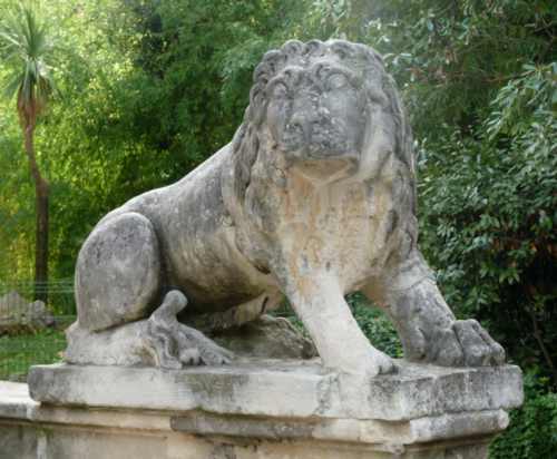 Lion