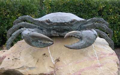 Crabe gant : Palavas