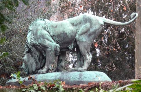 Alfred Jacquemart : Lion